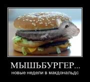 Прикрепленное изображение: 11098974.jpg