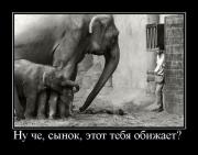 Прикрепленное изображение: 11098975.jpg