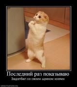 Прикрепленное изображение: 11188578.jpg