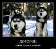 Прикрепленное изображение: 1244550067_9j8g64wkwil3.jpg