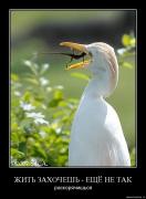 Прикрепленное изображение: 1247495554_4hdnuflpo646.jpg