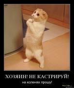 Прикрепленное изображение: 1247616768_382ah2umeeio.jpg