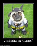 Прикрепленное изображение: 420065_signala_ne_byilo.jpg