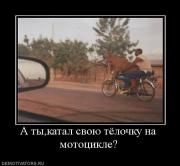 Прикрепленное изображение: 427219_a_tyikatal_svoyu_tyolochku_na_mototsikle.jpg