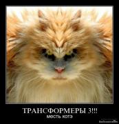 Прикрепленное изображение: 1263314323_1261305704_c36m4xajmu88.jpg