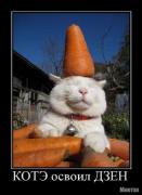 Прикрепленное изображение: 0_33f54_6db7316b_L.jpeg