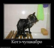 Прикрепленное изображение: 1263314099_0.jpeg