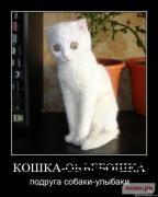 Прикрепленное изображение: 1263314548_1261999930_kotye_36.jpg
