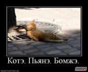 Прикрепленное изображение: 1263314523_1261999927_kotye_35.jpg