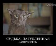 Прикрепленное изображение: 1258092671_1258045657_d17.jpg