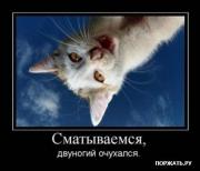 Прикрепленное изображение: 1264369210_9.jpg