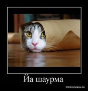 Прикрепленное изображение: s_20.jpg