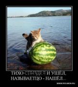 Прикрепленное изображение: s_30.jpg