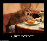 Прикрепленное изображение: 248872_dajte_pozhrat.jpg