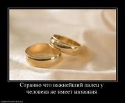 Прикрепленное изображение: 511059_stranno_chto_vazhnejshij_palets_u_cheloveka_ne_imeet_nazvaniya.jpg