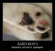 Прикрепленное изображение: x_4b95f95d.jpg