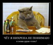 Прикрепленное изображение: x_15c06dfb.jpg