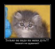 Прикрепленное изображение: x_55da8609.jpg