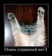 Прикрепленное изображение: x_672932aa.jpg