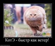 Прикрепленное изображение: x_c275a91c.jpg