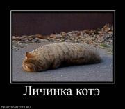 Прикрепленное изображение: x_7a16fbae.jpg