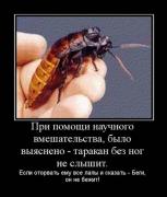 Прикрепленное изображение: x_031032be.jpg