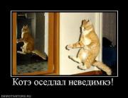 Прикрепленное изображение: x_6fc64beb.jpg