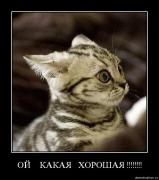 Прикрепленное изображение: _7.jpg