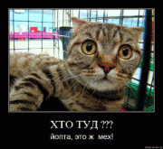 Прикрепленное изображение: _18.gif