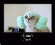Прикрепленное изображение: _Koteiko.ru.gif