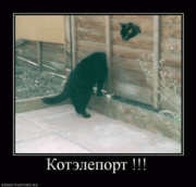 Прикрепленное изображение: 1.gif