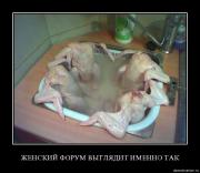 Прикрепленное изображение: 12.jpg