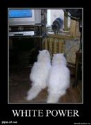 Прикрепленное изображение: 042652c8.jpg