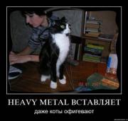 Прикрепленное изображение: s3img_62586807_1330_1.jpg