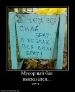 Прикрепленное изображение: 792980_musornyij_bak_vyiskazalsya.jpg