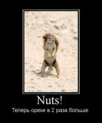 Прикрепленное изображение: 112830BK.jpg