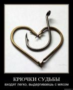 Прикрепленное изображение: 1112600K.jpg