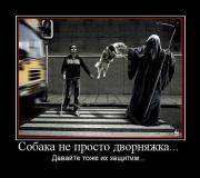 Прикрепленное изображение: 112830BA.jpg