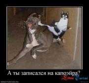 Прикрепленное изображение: 1250200852_berloganet_4231935821.jpeg