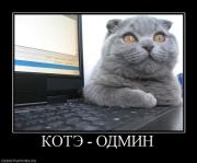 Прикрепленное изображение: 4520923.jpg