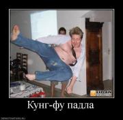 Прикрепленное изображение: 1240066136_505253_kungfupadla.jpg