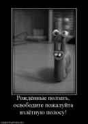Прикрепленное изображение: 573037_rozhdyonnyie_polzat_osvobodite_pozhalujta_vzlyotnuyu_polosu.jpg