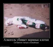 Прикрепленное изображение: 884802_alkogol_ubivaet_nervnyie_kletki.jpg