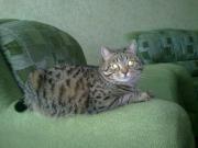 Прикрепленное изображение: 21022011580.jpg