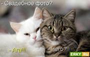 Прикрепленное изображение: 19_02_2012_hyXaguZurajaPaHaSy0u.jpg