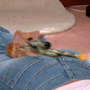 Прикрепленное изображение: _______edit.gif