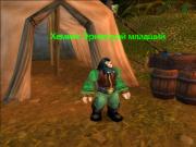Прикрепленное изображение: WoWScrnShot_030609_153729.jpg