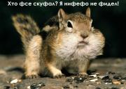 Прикрепленное изображение: skushal.jpg