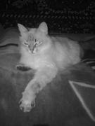 Прикрепленное изображение: K___0466.jpg