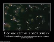 Прикрепленное изображение: 518425_vse_myi_naglyie_v_etoj_zhizni.jpg